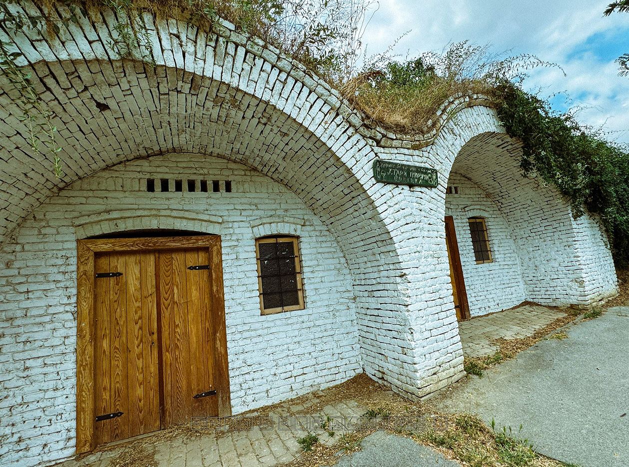 Blog Image