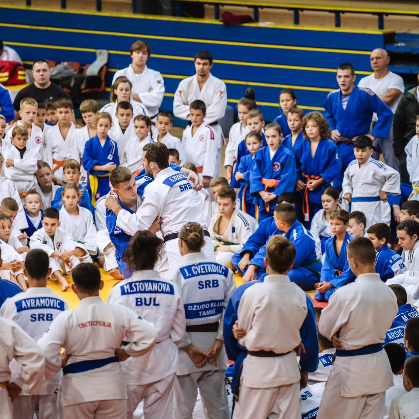 Blog Image