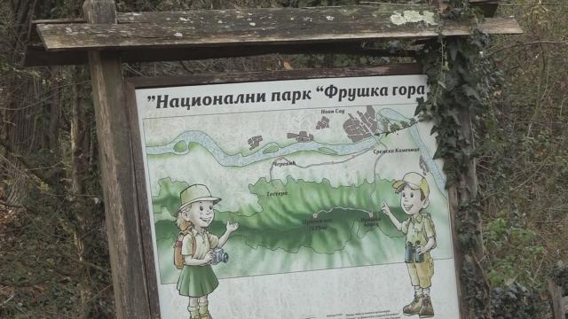 blog img