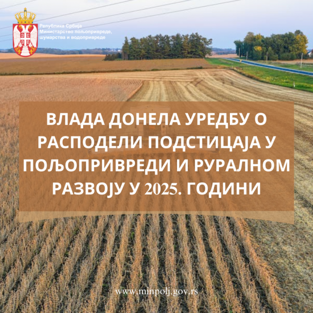 blog img