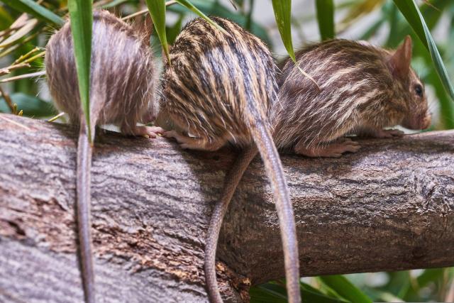blog img