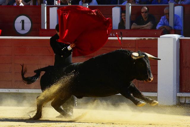 blog image